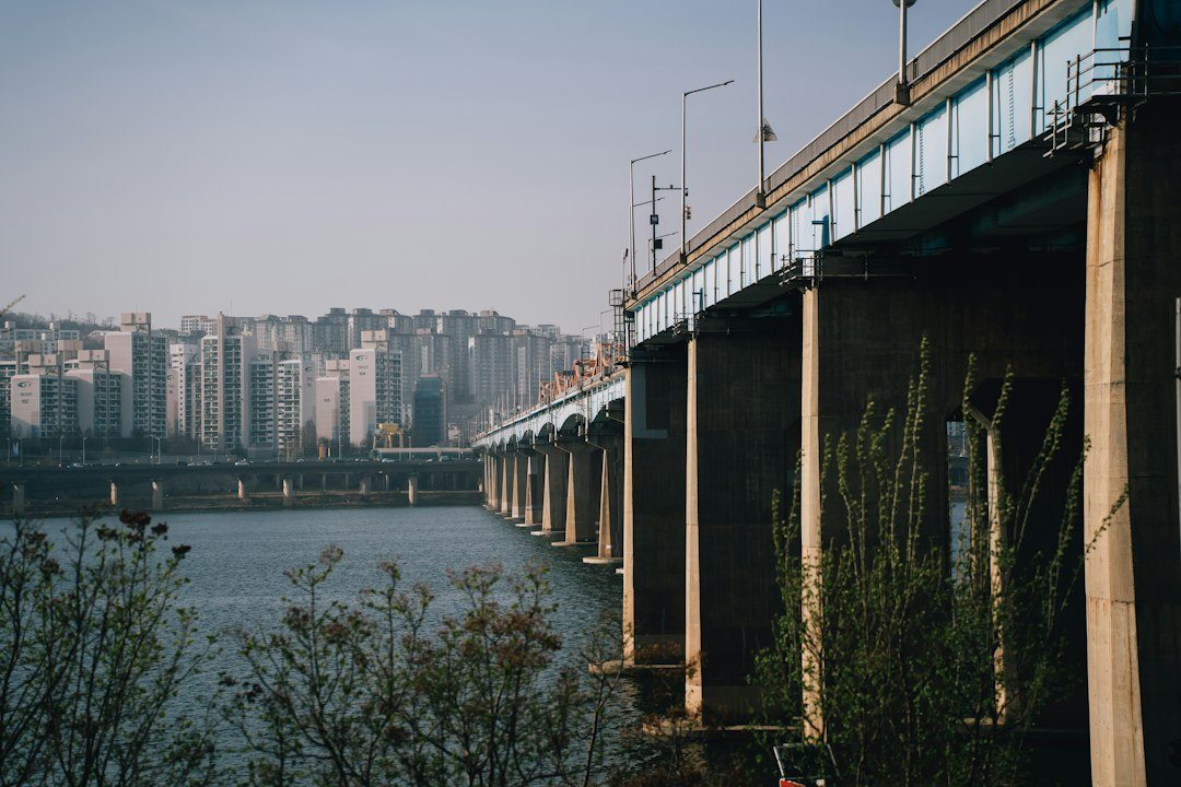 알뜰폰무제한요금제비교 참고 이미지 2